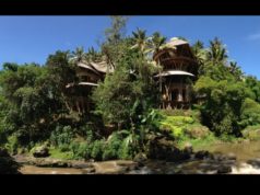 Elora Hardy, el hada del bambú