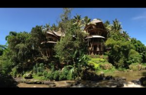 Elora Hardy, el hada del bambú