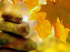 Un taller para vivenciar el Bien Estar en tu negocio