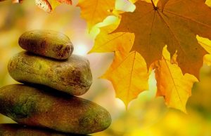 Un taller para vivenciar el Bien Estar en tu negocio