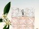 Issey Miyake presenta su nueva fragancia Lumière D’Issey