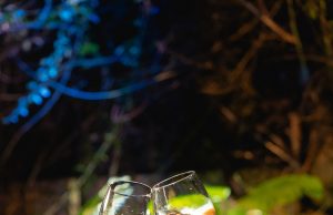 La Malbequeria presenta la experiencia»Somos Malbec»