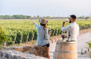 Los sabores del terroir, el Malbec y la historia en Finca Baldini