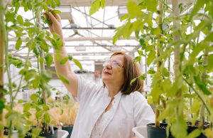 Raquel Chan: Premio Internacional L’Oréal-UNESCO Por la Mujeres en la Ciencia