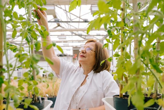 Raquel Chan: Premio Internacional L’Oréal-UNESCO Por la Mujeres en la Ciencia